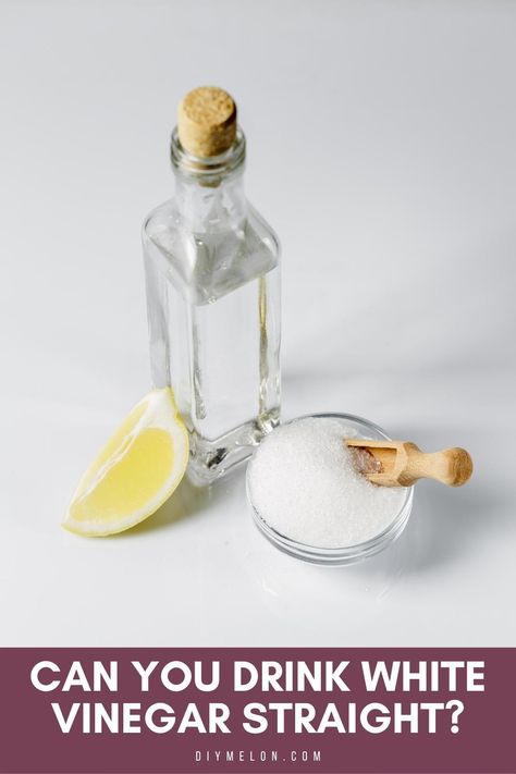 Can You Drink White Vinegar Straight Benefits Of White Vinegar, White Vinegar Benefits, Hot Water Benefits, Benefits Of Baking Soda, Vinegar Benefits, Vinegar Drinks, Drinking Vinegar, Baking Soda Benefits, Cleaning Tasks