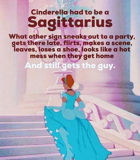 Sagittarius And Scorpio, Sagittarius Funny, Zodiac Sagittarius Facts, Sagittarius Personality, Sagittarius Traits, Sagittarius Girl, Sagittarius Astrology, Horoscope Sagittarius, Sagittarius Quotes