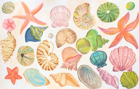 shells 🐚 stars ⭐ stones 🪨 not (yet) a productive year for some art, but a productive weekend, it is #watercolor #watercolorph #watercolorphilippines #watercolorsea #watercolorshells #seascapewatercolor #seashellart #seashells #kathartsees Shells Watercolour, Shells Watercolor, Seashell Watercolor, Watercolor Shells, Shell Watercolor, Productive Weekend, Seashell Painting, Seashell Art, May 13