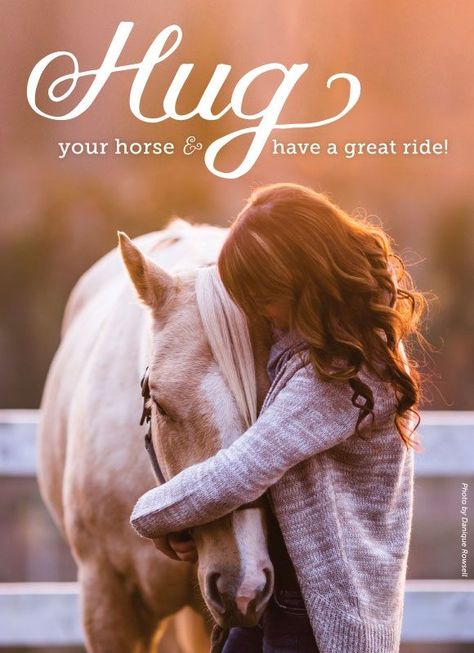 Have you hugged your horse today? Equine Quotes, Horse Meme, Cowgirl Quote, Inspirational Horse Quotes, Horse Riding Quotes, Equestrian Quotes, Riding Quotes, Funny Horses, Country Girl Quotes