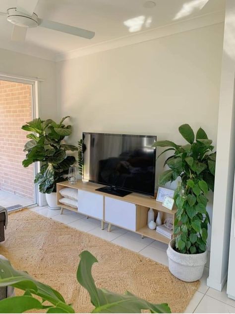 Room Plants Decor, Living Room Plants Decor, Living Room Decor Brown, Living Room And Dining Room Decor, Room Decor Brown, Plantas Interior, Living Room Decor Brown Couch, Room Plants, Greenery Flowers