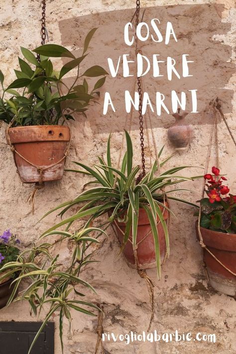 Cosa vedere nel borgo medievale di Narni in un giorno: itinerario a piedi e cosa vedere nei dintorni #Umbria #Narni #borghiitaliani Umbria, Narnia, Travel Destinations, Planter Pots, Plants, Travel