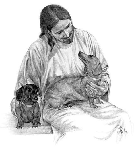 Jesus & Dachshunds drawing. Dog Sympathy, Dachshund Art, Weenie Dogs, San Francesco, Dachshund Lovers, Dachshund Love, Weiner Dog, Wiener Dog, Sausage Dog