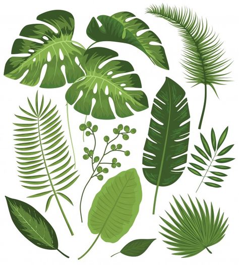 Beautiful Pencil Drawings, Garden Tropical, Wall Murals Diy, Leaf Clipart, Leaf Drawing, Leaves Print, Leaves Vector, Illustration Style, Plant Drawing