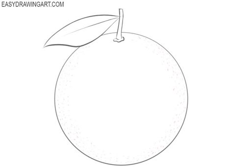 How to Draw an Orange Easy | Easy Drawing Art Orange Simple Drawing, Orange Pencil Drawing, Simple Orange Drawing, Orange Drawing Simple, Drawing In Circle, Orange Drawing, Fruit Coloring, Fruit Sketch, Hair Stenciling