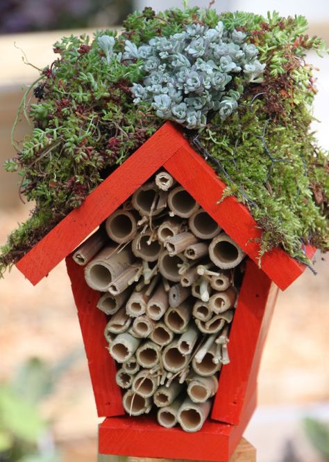 Make your own house for the ladybugs. Good beginners woodworking project. - Google Search Ladybug House, Hgtv Garden, Bug Hotel, Insect Hotel, Meteor Garden 2018, Magic Garden, Beginner Woodworking Projects, Garden Crafts, Birdhouse