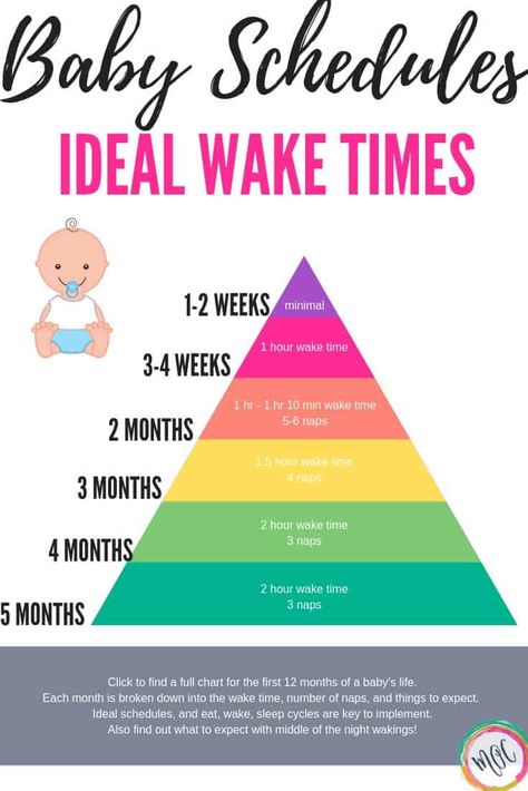 What is the Babywise Eat Wake Sleep Cycle? Awake Times For Babies, Baby Wise, Newborn Schedule, Sleeping Tips, Infant Sleep, Baby Schedule, Baby Sleep Schedule, Newborn Hacks, Baby Sleep Problems