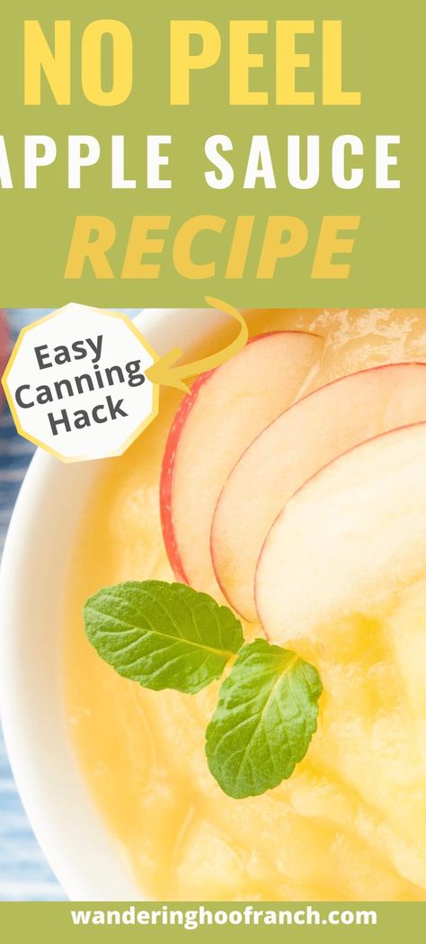 Canning Apple Sauce Easy Recipe Hack you Need to Try! Canning Apple Sauce, Easy Apple Sauce, Canning Apples, Easy Canning, Food Mill, Canning Ideas, Apple Sauce Recipes, Canned Apples, Harvest Recipes