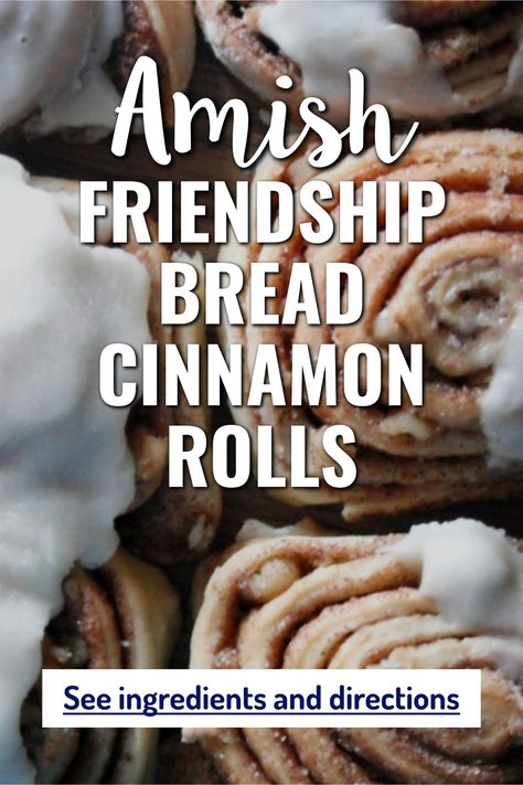 Amish Friendship Bread Variations Recipes, Friendship Bread Recipe Variations, Amish Friendship Bread Recipes, Amish Bread Starter, Amish Bread Recipes, Bread Cinnamon Rolls, Amish Friendship Bread Starter Recipes, Freezer Desserts, Friendship Recipe