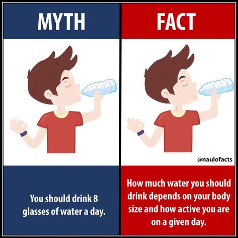 Facts About Water, Interesting Facts About Humans, Myth Vs Fact, Flower Stencil Patterns, Water Facts, Facts About Humans, Medical School Life, Social Media Content Planner, Myth Busters