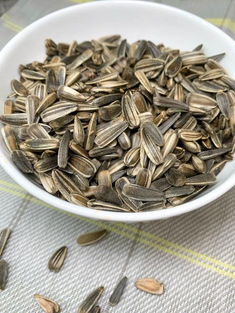 How to Harvest Sunflower Seeds Sunflower Seeds Photography, Sunflower Seeds Aesthetic, Homemade Sunflower Seeds, Seeds To Eat, Harvest Sunflower Seeds, Sunflower Seed Recipes, Harvesting Sunflower Seeds, Russian Aesthetic, Growing Sunflowers