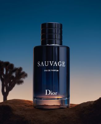 Dior Sauvage, Dior Men, Perfume Photography, Dior Perfume, After Shave Balm, Deodorant Spray, Best Perfume, Fragrance Collection, Mens Cologne