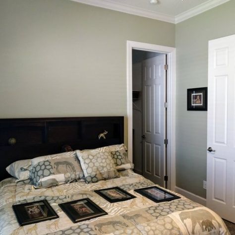 Grassland Sherwin Williams, Sw Grassland, Sherwin Williams Grassland, Grassland Project, Paint Colors Sherwin Williams, Home Wall Colour, Green Grey Paint, Bedroom Paint Colors Master, Wall Color Ideas