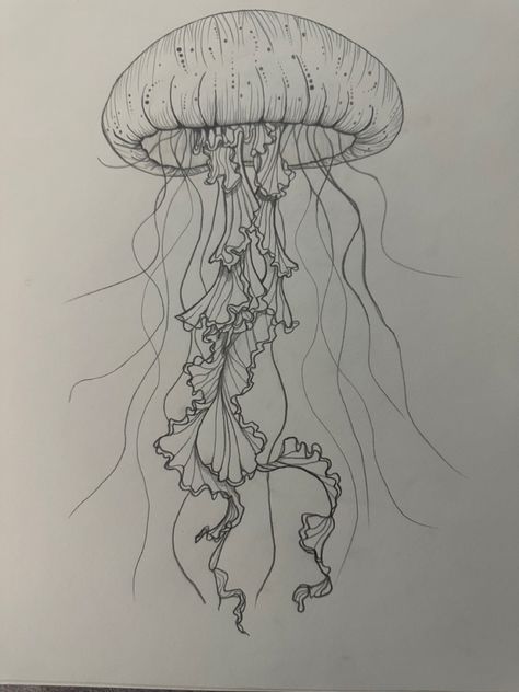 How To Draw Realistic Jellyfish, Detailed Things To Draw, Jellyfish Marker Drawing, Drawings Sea Creatures Art, Sea Floor Drawing, Jelly Fish Drawing Sketches, Hard Things To Draw, Sea Animal Sketches, How To Draw Jellyfish