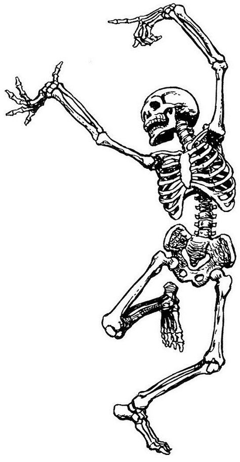 Dancing Skeleton Wallpaper, Skeleton Wallpaper, Popular Aesthetic, Skeleton Drawings, Frida Art, Skeleton Tattoos, Dancing Skeleton, Skeleton Art, Edgy Wallpaper