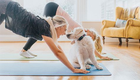 The Benefits of Yoga: How It Boosts Your Mental Health | Houston Methodist On Health Puppy Yoga, Daily Stretching Routine, Hip Strengthening Exercises, Ankle Mobility, Strength And Conditioning Coach, Tight Hamstrings, Hip Flexor Stretch, Hip Stretches, Squat Workout