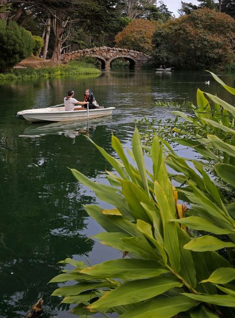 Stow Lake, Golden Gate Park, San Francisco. This lake is man-made but it's set amid natural beauty. Rent a row boat and paddle past the Huntington Falls. Keep your eye out for turtles.   Photo: Michael Macor, The Chronicle Kids Things To Do, California Summer, Lake Boat, Paddle Boat, Golden Gate Park, Row Boat, Closer To Nature, San Francisco Bay Area, Golden Gate