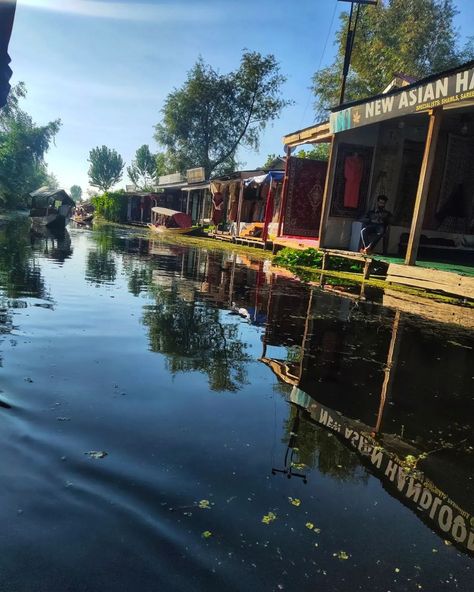 Dal lake Srinagar Kashmir Srinagar Kashmir, Dal Lake, Srinagar, Fairy Tale, Fairy Tales, Lake, Travel, Quick Saves