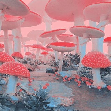 Pin by Roberto Azeredo on TrêsDê in 2022 | Mushroom art, Alice in wonderland aesthetic, Modern abstract painting Wonderland Aesthetic, Alice In Wonderland Aesthetic, Mushroom Wallpaper, Baby Pink Aesthetic, Dreamcore Weirdcore, Alice In Wonderland Tea Party, Theme Background, Mushroom Decor, Weird Dreams