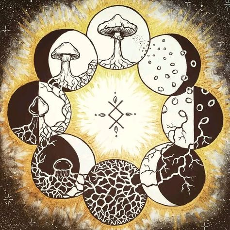 Mushroom circle of life Mushroom Circle, Goddess Images, Happy Full Moon, Moon Phases Tattoo, Circle Tattoo, Mushroom Tattoos, Sacred Plant, Mushroom Drawing, Nature Spirits