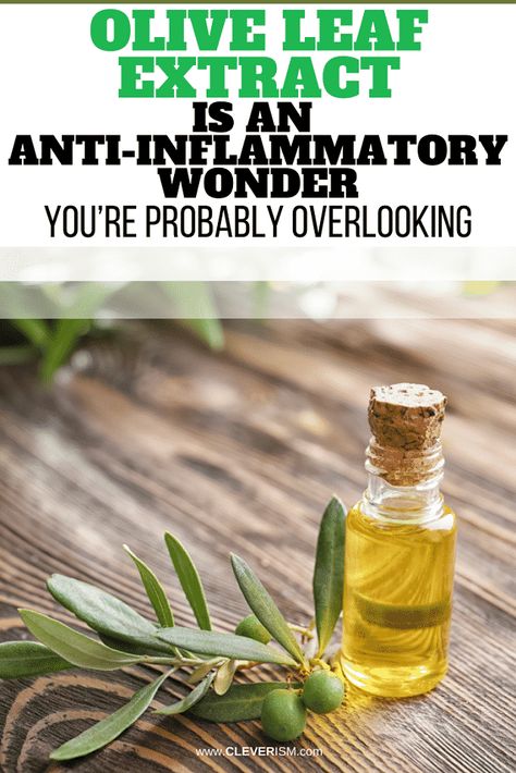 Olive Leaf Extract is an Anti-Inflammatory Wonder You’re Probably Overlooking - #OliveLeafExtract #OliveLeaf #AntiInflamatoryWonder #Cleverism Olive Tree Leaves, Olive Leaf Extract, Nerve Health, Anti Inflamatory, Olive Leaf, Tree Leaves, Olive Tree, Natural Living, Herbal Remedies