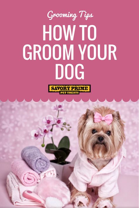 How to Groom a Dog | Savory Prime Pet Treats Dog Grooming Training, Dog Grooming For Beginners, Dog Grooming At Home, Dog Grooming Diy, Small Dog Accessories, Grooming Hacks, Dog Grooming Tools, Dog Grooming Styles, Dog At Home