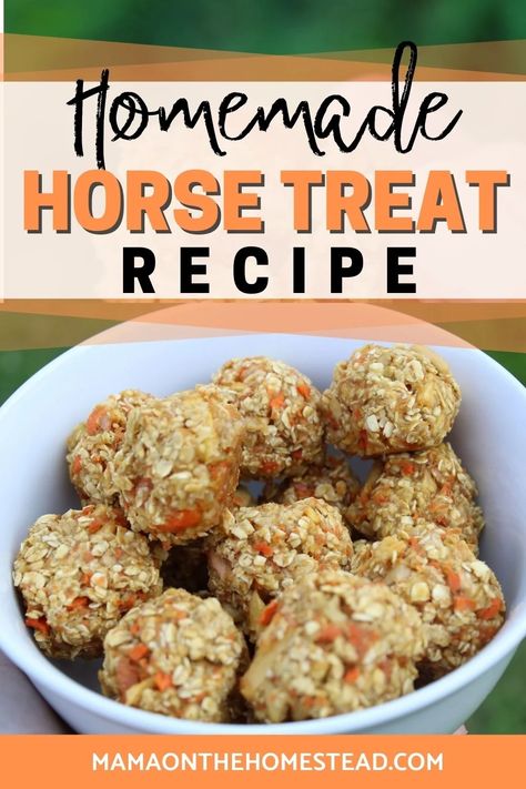 Carrot Horse Treats, Applesauce Horse Treats, Baked Horse Treats, Sheep Treats Homemade, Diy Horse Snacks, Horse Treats Recipe Easy No Bake, Easy Horse Treats, No Bake Horse Treats, Diy Horse Treats