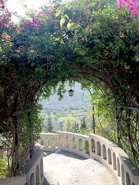 Egina Island, in the backyard of a beautiful monastery (cathedral, actually). Greece Egina Greece, Greece Monastery, Syros Greece, Summer Dream, Travel Aesthetic, Garden Bridge, Places Ive Been, Beautiful Places, Greece