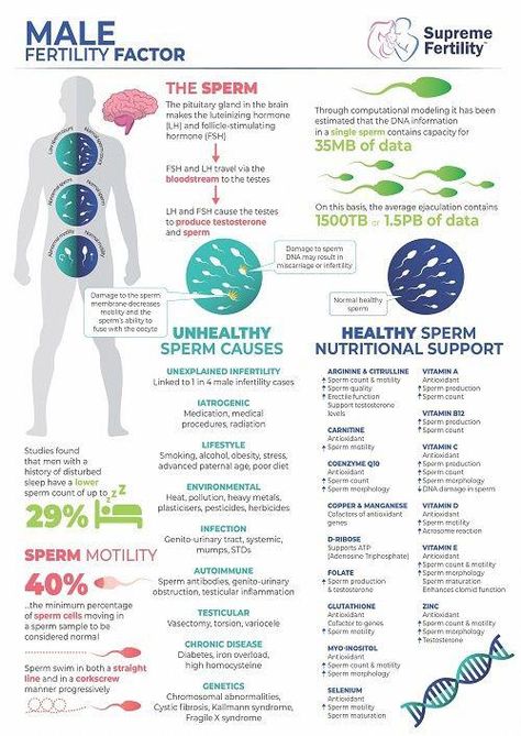 A new fertility programme delves into the root cause of struggles to conceive and helps couples become the healthiest they can be to fall pregnant. Foods For Male Fertility, Men’s Fertility Diet, Men Fertility Trying To Conceive, Men Fertility Boost, Fertility Supplements For Men, Increase Male Fertility, Mens Fertility Tips, Male Health Tips, Men’s Fertility