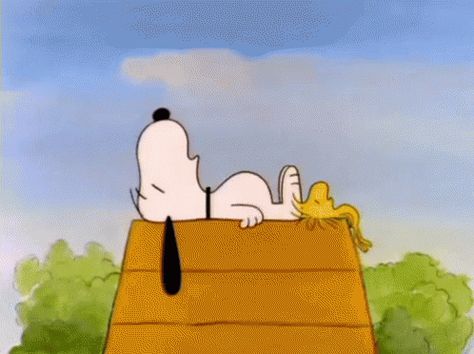 Cute GIF - Snoopy Peanuts Woodstock - Discover & Share GIFs Snoopy And Woodstock Matching Pfp, Snoopy Pfp, Snoopy Sleeping, Snoopy Und Woodstock, Charlie Brown Y Snoopy, Sleeping Gif, Woodstock Snoopy, Charlie Brown Snoopy, Holly Golightly