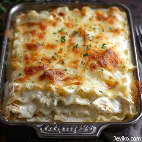 Alfredo Chicken Lasagna - Life with Susan Alfredo Chicken Lasagna, Jarred Alfredo Sauce, Olive Garden Minestrone Soup, Alfredo Chicken, Chicken Alfredo Lasagna, Potato Bacon Soup, Alfredo Lasagna, No Boil Lasagna, Bacon Soup