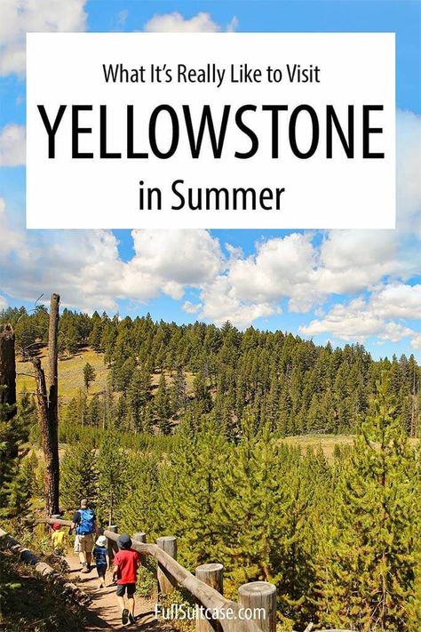 What it's like to visit Yellowstone National Park in summer in summer and tips for those traveling to Yellowstone in July and August #yellowstone Yellowstone National Park Vacation, Yellowstone Vacation, Yellowstone Camping, Yellowstone Trip, Visit Yellowstone, Yellowstone Park, National Park Vacation, National Parks Usa, Camping World