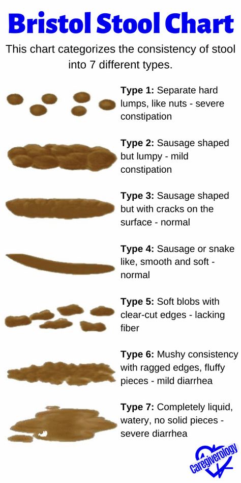 Everybody has bowel movements (BM). It is a part of life and we should make sure it is happening correctly. #caregiverology #bowelmovement #stool #feces #bristolstoolchart #bristolstool #bristol #stoolchart #stooltype #medicalinfographic #infographic Cna Tips Training, Bowel Movement Chart, Doctor Facts, Cna Training, Bristol Stool, Stool Chart, Bristol Stool Chart, Cna Nurse, Bowel Movement