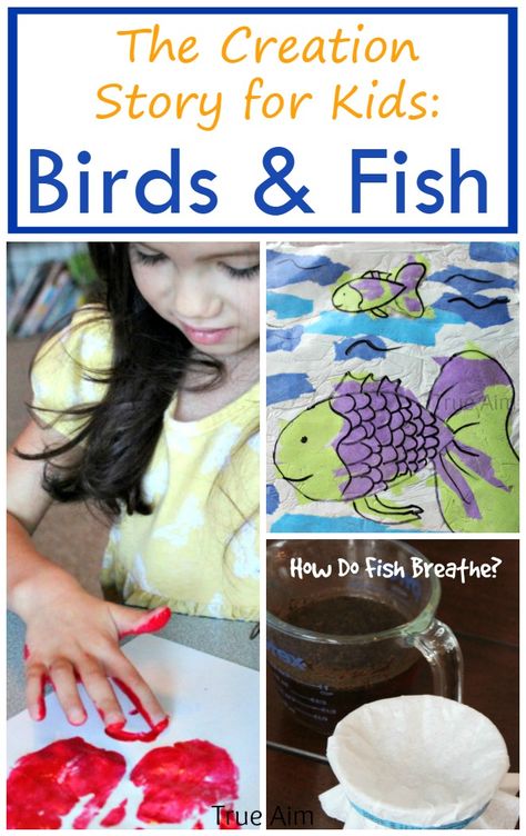 The Creation Story Birds & Fish - Crafts, Activity, and Experiment God Made Fish And Birds Craft, Fish And Birds Creation, Bible Science, Creation Activities, Secular Homeschool, Science For Toddlers, Homeschool Board, Montessori Homeschool, Church Nursery