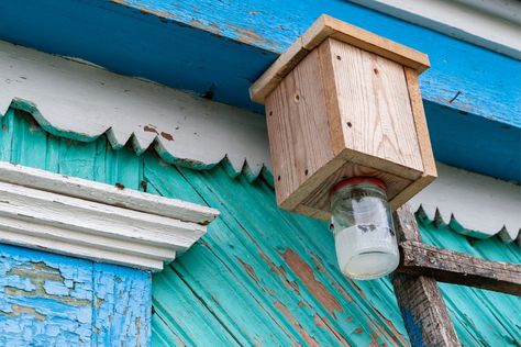 The Best Carpenter Bee Traps of 2022 - Recommendations from Bob Vila Wood Bee Trap, Bee Catcher, Bee Trap, Carpenter Bee Trap, Bee Traps, Bee Removal, Wood Bees, Carpenter Bee, Decorative Ideas