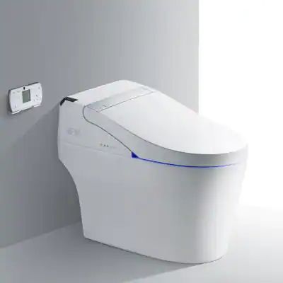 Athena Intelligent Comfort Height 1-Piece 1.0 GPF /1.6 GPF Dual Flush Elongated Toilet in White Seat Included Tankless Toilet, Dual Flush Toilet, Feminine Wash, Bidet Sprayer, Elongated Toilet, Modern Toilet, Deodorizing, Smart Toilet, Bidet Toilet