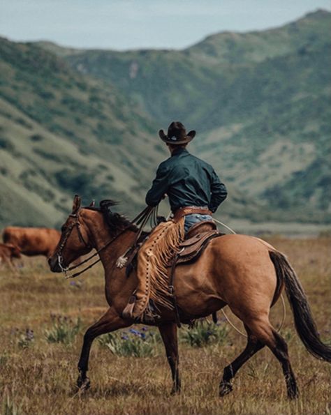 Horse Portrait Photography, Arte Cowboy, Cowboy Photography, Western Photo, Cowboy Pictures, Cowboy Aesthetic, Western Photography, Into The West, Western Paintings