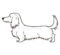 Long Hair Dachshund Tattoo, Dachshunds Tattoo, Daschund Drawing, Doxie Tattoo, Dachshund Tattoo Ideas, Daschund Tattoo, Dachshund Sketch, Arte Dachshund, Dachshund Puppy Long Haired