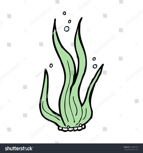 cartoon seaweed #Ad , #spon, #cartoon#seaweed Seaweed Drawing Simple, How To Draw Seaweed Step By Step, Seaweed Drawing Easy, Ocean Plants Drawing, How To Draw Seaweed, Sea Plants Drawing, Drawing Seaweed, Kelp Drawing, Cartoon Seaweed