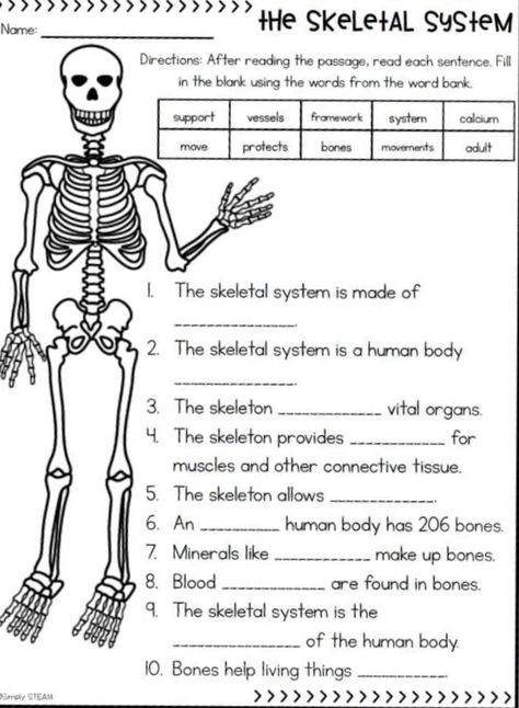 Human Body Systems Activities, Body Systems Activities, Body Worksheet, Human Body Printables, Elementary Health Lessons, Skeletal System Worksheet, Cloze Passages, Sterile Processing, Middle School Health