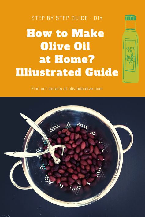 Make Olive Oil At Home, Make Your Own Olive Oil, Making Olive Oil At Home, How To Keep Olive Oil Fresh, How To Make Olive Oil At Home, Olive Oil Press, How To Make Olive Oil, Diy Olive Oil, Olive Oil Candle