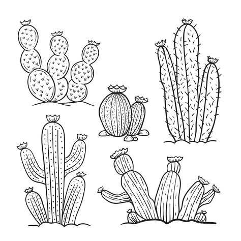 Free Vector | Free vector hand drawn cactus outline illustration Desert Doodles, Cactus Outline, Cactus Tree, Cactus Vector, Succulent Collection, Tree Vector, Cactus Pattern, Outline Illustration, Stationery Templates