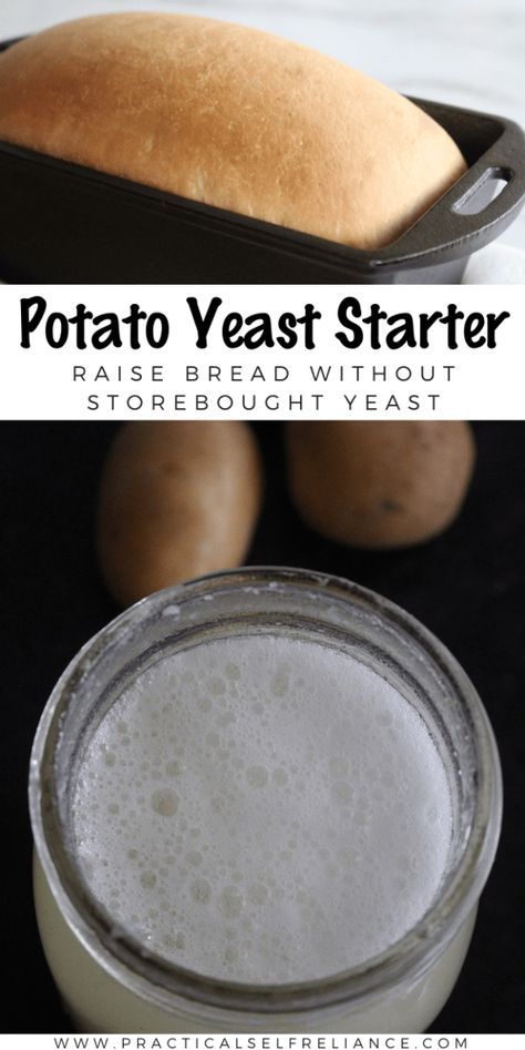 Potato Yeast Starter for Baking Bread Potato Yeast, Filet Mignon Chorizo, Bread Without Yeast, Friendship Bread Starter, Yeast Packet, Making Sourdough Bread, Yeast Starter, Dough Starter, Friendship Bread