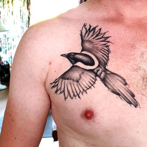 Magpie tattoo men chest idea Magpie Tattoo, Chest Ideas, Tattoo Chest, Men Chest, Magpie, Tattoos For Guys, Watercolor Tattoo, Tattoos