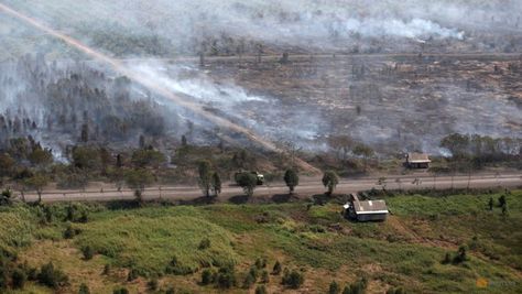 Less than half of respondents in Southeast Asia believe climate change poses ‘serious threat’ to region: Survey Check more at https://technologygeyan.com/climate-change-southeast-asia-survey-serious-threat-decline-urgency-level-food-security-3788561/ Asia Tenggara, Food Security, Southeast Asia, New World