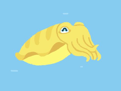 Gif // Cute yellow cuttlefish Octopus Drawing Cute, Cuttlefish Drawing, Gif Cute, Octopus Drawing, Cute Drawing, Animated Gifs, Octopus, Cute Drawings, Pikachu