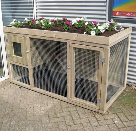 Diy Bunny Cage, Diy Rabbit Cage, Diy Rabbit Hutch, Outdoor Rabbit Hutch, Guinea Pig Hutch, Rabbit Enclosure, Guinea Pig House, Bunny Hutch, Bunny Room