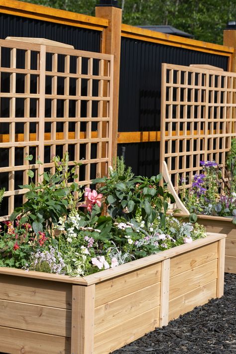 Adding vertical elements such as trellises to your raised bed garden can be a great way to maximize your growing space and add visual interest to your landscape. Follow these tips to design a raised bed garden with room to grow up! Simple Raised Garden Beds, Raised Bed Frame, Vegetable Beds Raised, Backyard Layout, Raised Flower Beds, Hardscape Design, Small Fountains, Tall Plants, Climbing Plants