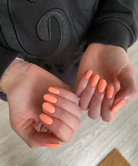 Save this pin for trendy nail inspiration and get ready to flaunt the perfect peachy manicure! Elevate your style with these stunning nail ideas. #NailArt #PeachyNails #ManicureInspo #FashionTrends Peachy Color Nails, Sherbet Orange Nails, Pastel Orange Nails Peach, Peachy Orange Nails, Peach Nail Tips, Peach Fuzz Nails, Peach Manicure, Peachy Nails, Peach Nails