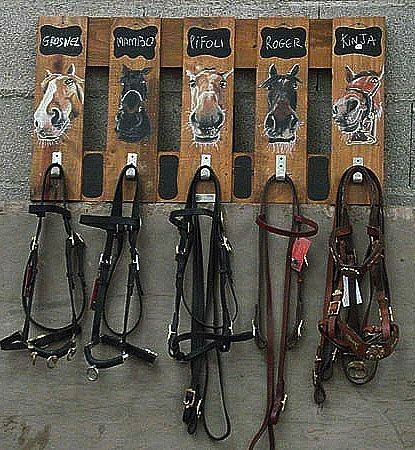 Horse Tack Rooms, Horse Farm Ideas, Diy Horse Barn, Horse Barn Ideas Stables, Horse Barn Designs, Dream Horse Barns, Horse Barn Plans, Horse Crafts, Horse Pony